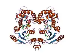 1isi: Crystal Structure Analysis of BST-1/CD157 complexed with ethenoNAD