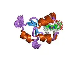 1j0q: Solution Structure of Oxidized Bovine Microsomal Cytochrome b5 mutant V61H