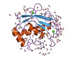1jan: COMPLEX OF PRO-LEU-GLY-HYDROXYLAMINE WITH THE CATALYTIC DOMAIN OF MATRIX METALLO PROTEINASE-8 (PHE79 FORM)