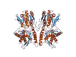 1jdp: Crystal Structure of Hormone/Receptor Complex