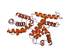 1jkw: STRUCTURE OF CYCLIN MCS2