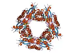 1kqo: Crystal structure of NMN/NaMN adenylyltransferase complexed with deamido-NAD