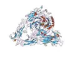 1l5g: CRYSTAL STRUCTURE OF THE EXTRACELLULAR SEGMENT OF INTEGRIN AVB3 IN COMPLEX WITH AN ARG-GLY-ASP LIGAND