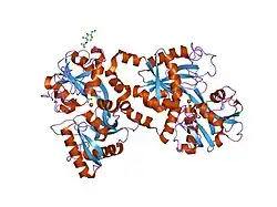 1lcf: CRYSTAL STRUCTURE OF COPPER-AND OXALATE-SUBSTITUTED HUMAN LACTOFERRIN AT 2.0 ANGSTROMS RESOLUTION