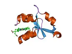 1lqx: Crystal structure of V45E mutant of cytochrome b5