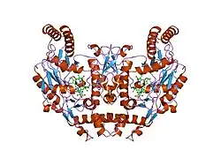 1lzx: Rat neuronal NOS heme domain with NG-hydroxy-L-arginine bound