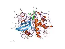 1mem: CRYSTAL STRUCTURE OF CATHEPSIN K COMPLEXED WITH A POTENT VINYL SULFONE INHIBITOR