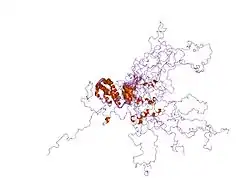 1n4c: NMR Structure of the J-Domain and Clathrin Substrate Binding Domain of Bovine Auxilin