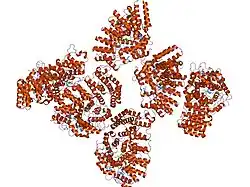 1n4q: Protein Geranylgeranyltransferase type-I Complexed with a GGPP Analog and a KKKSKTKCVIL Peptide