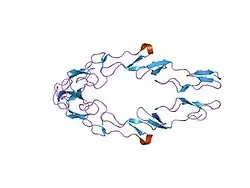 1ncf: A NEW PARADIGM FOR TUMOR NECROSIS FACTOR SIGNALLING