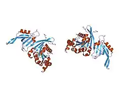 1nf3: Structure of Cdc42 in a complex with the GTPase-binding domain of the cell polarity protein, Par6