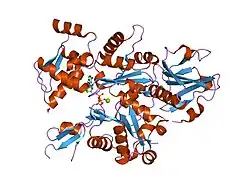 1nm1: Crystal Structure of D. Dicsoideum Actin Complexed With Gelsolin Segment 1 and Mg ATP at 1.8 A Resolution