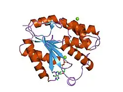 1nn0: Crystal structure of human thymidylate kinase with ddTMP and ADP