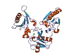 1nph: Gelsolin Domains 4-6 in Active, Actin Free Conformation Identifies Sites of Regulatory Calcium Ions