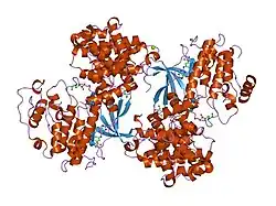 1oiu: STRUCTURE OF HUMAN THR160-PHOSPHO CDK2/CYCLIN A COMPLEXED WITH A 6-CYCLOHEXYLMETHYLOXY-2-ANILINO-PURINE INHIBITOR