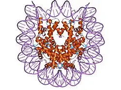 1p3g: Crystallographic Studies of Nucleosome Core Particles containing Histone 'Sin' Mutants