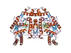 1p6n: Bovine endothelial NOS heme domain with L-N(omega)-nitroarginine-(4R)-amino-L-proline amide bound