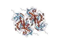 1pl7: Human Sorbitol Dehydrogenase (apo)