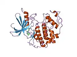 1pxn: HUMAN CYCLIN DEPENDENT KINASE 2 COMPLEXED WITH THE INHIBITOR 4-[4-(4-Methyl-2-methylamino-thiazol-5-yl)-pyrimidin-2-ylamino]-phenol