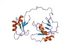 1qm9: NMR, REPRESENTATIVE STRUCTURE