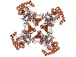1qrq: STRUCTURE OF A VOLTAGE-DEPENDENT K+ CHANNEL BETA SUBUNIT
