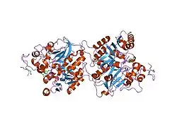 1rh0: Crystal structure of human Tyrosyl-DNA Phosphodiesterase complexed with vanadate, octopamine and trinucleotide GTT
