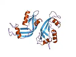 1rnf: X-RAY CRYSTAL STRUCTURE OF UNLIGANDED HUMAN RIBONUCLEASE 4