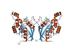 1ryf: Alternative Splicing of Rac1 Generates Rac1b, a Self-activating GTPase
