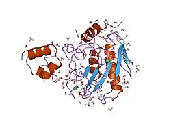 1slm: CRYSTAL STRUCTURE OF FIBROBLAST STROMELYSIN-1: THE C-TRUNCATED HUMAN PROENZYME