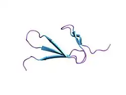 1tpm: SOLUTION STRUCTURE OF THE FIBRIN BINDING FINGER DOMAIN OF TISSUE-TYPE PLASMINOGEN ACTIVATOR DETERMINED BY 1H NUCLEAR MAGNETIC RESONANCE