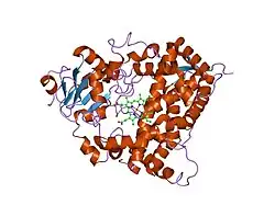 1tqn: Crystal Structure of Human Microsomal P450 3A4