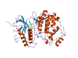 1tvo: The structure of ERK2 in complex with a small molecule inhibitor