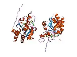 1u31: recombinant human heart transhydrogenase dIII bound with NADPH
