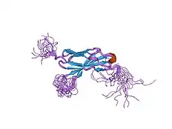 1uen: Solution Structure of The Third Fibronectin III Domain of Human KIAA0343 Protein