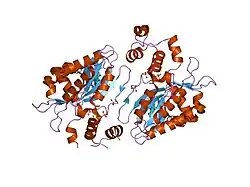 1w2d: HUMAN INOSITOL (1,4,5)-TRISPHOSPHATE 3-KINASE COMPLEXED WITH MN2+/ADP/INS(1,3,4,5)P4