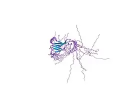 1wfo: The eighth FN3 domain of human sidekick-2