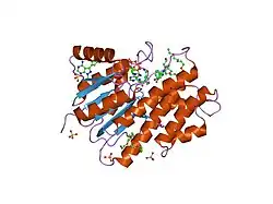 1wma: Crystal structure of human CBR1 in complex with Hydroxy-PP