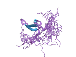 1wmv: Solution structure of the second WW domain of WWOX
