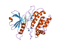 1wvy: Crystal structures of kinase domain of DAP kinase in complex with small molecular inhibitors