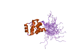 1wxp: Solution structure of the death domain of nuclear matrix protein p84