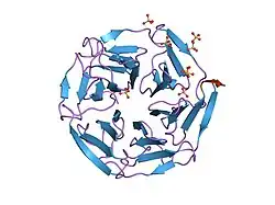 1x2j: Structural basis for the defects of human lung cancer somatic mutations in the repression activity of Keap1 on Nrf2