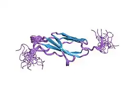 1x4x: Solution structure of the 6th fibronectin type III domain from human fibronectin type III domain containing protein 3
