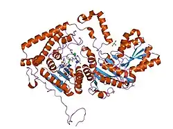 1x7z: Crystal structure of the human mitochondrial branched-chain alpha-ketoacid dehydrogenase