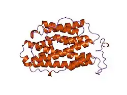 1xsm: PROTEIN R2 OF RIBONUCLEOTIDE REDUCTASE FROM MOUSE