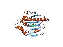 1yet: GELDANAMYCIN BOUND TO THE HSP90 GELDANAMYCIN-BINDING DOMAIN
