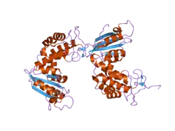 1yh3: Crystal structure of human CD38 extracellular domain