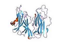 1yip: Oxidized Peptidylglycine Alpha-Hydroxylating Monooxygenase (PHM) in a New Crystal Form
