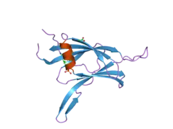 1yrk: The C2 Domain of PKC<delta> is a new Phospho-Tyrosine Binding Domain