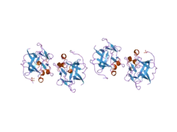 1yto: Crystal Structure of Gly19 deletion Mutant of Human Acidic Fibroblast Growth Factor