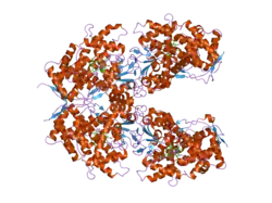 1z11: Crystal Structure of Human Microsomal P450 2A6 with Methoxsalen Bound
